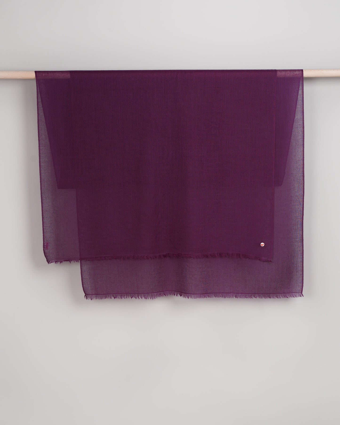 Hot Pashmina gloxinia