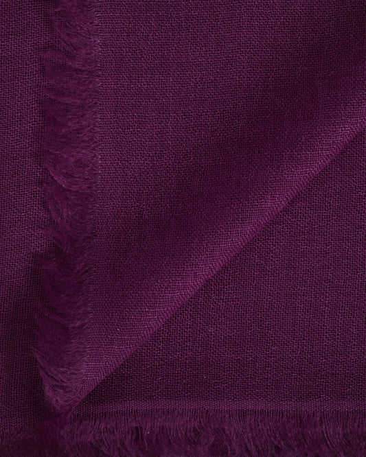 Hot Pashmina gloxinia