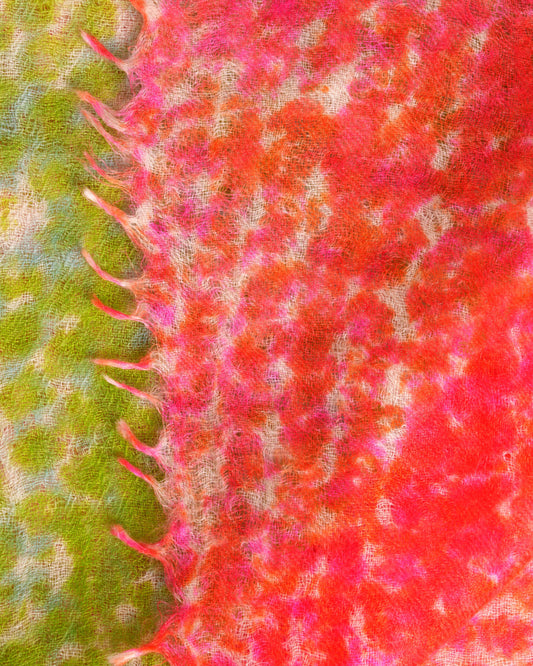 Eco-Shahtoosh happy holi