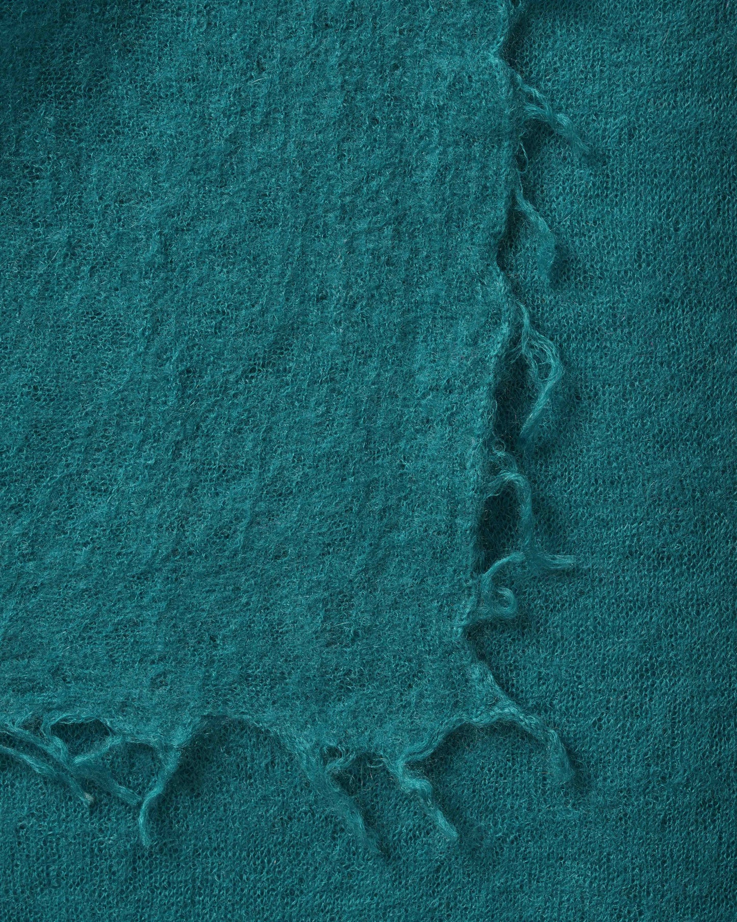 Pashmina Katō biscay bay