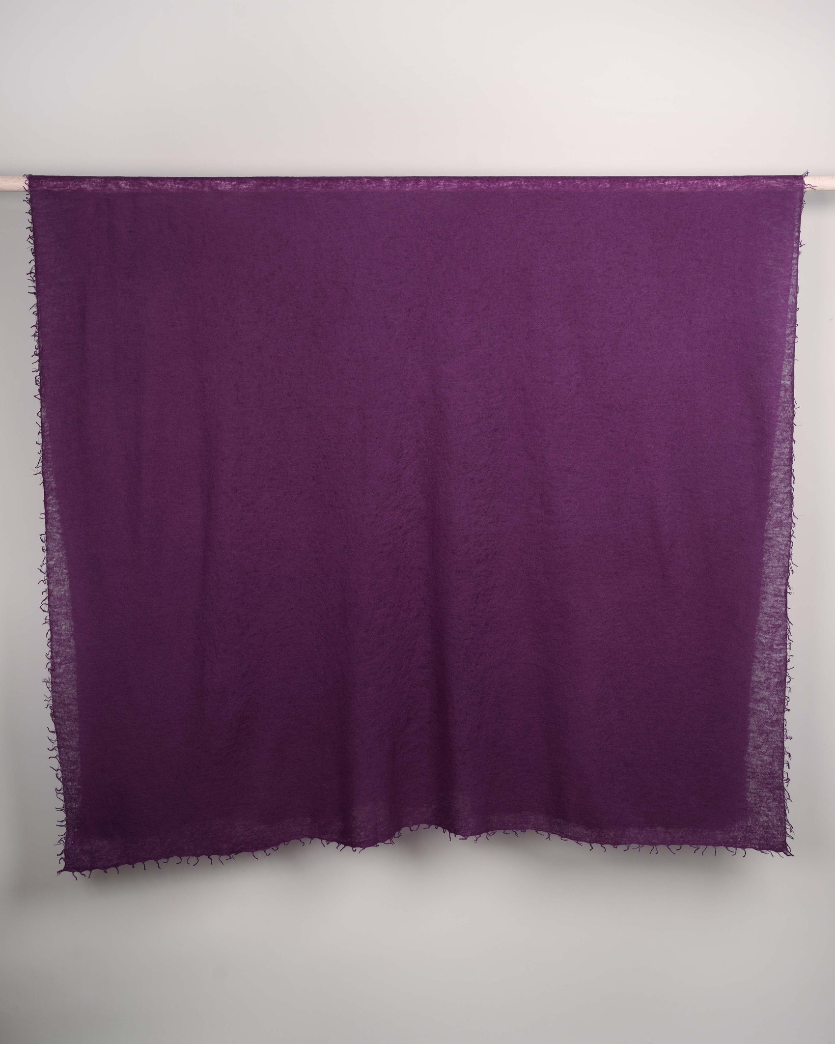 Pashmina Katō gloxinia