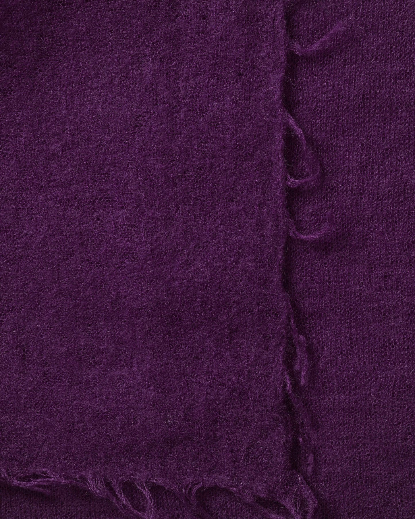 Pashmina Katō gloxinia