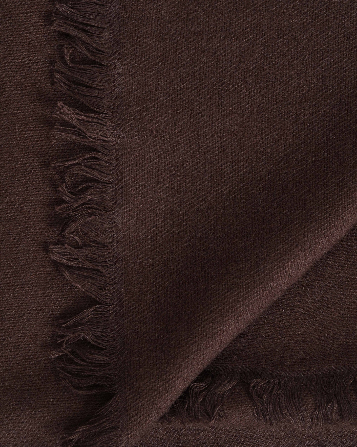 Pashmina Couture coffee bean