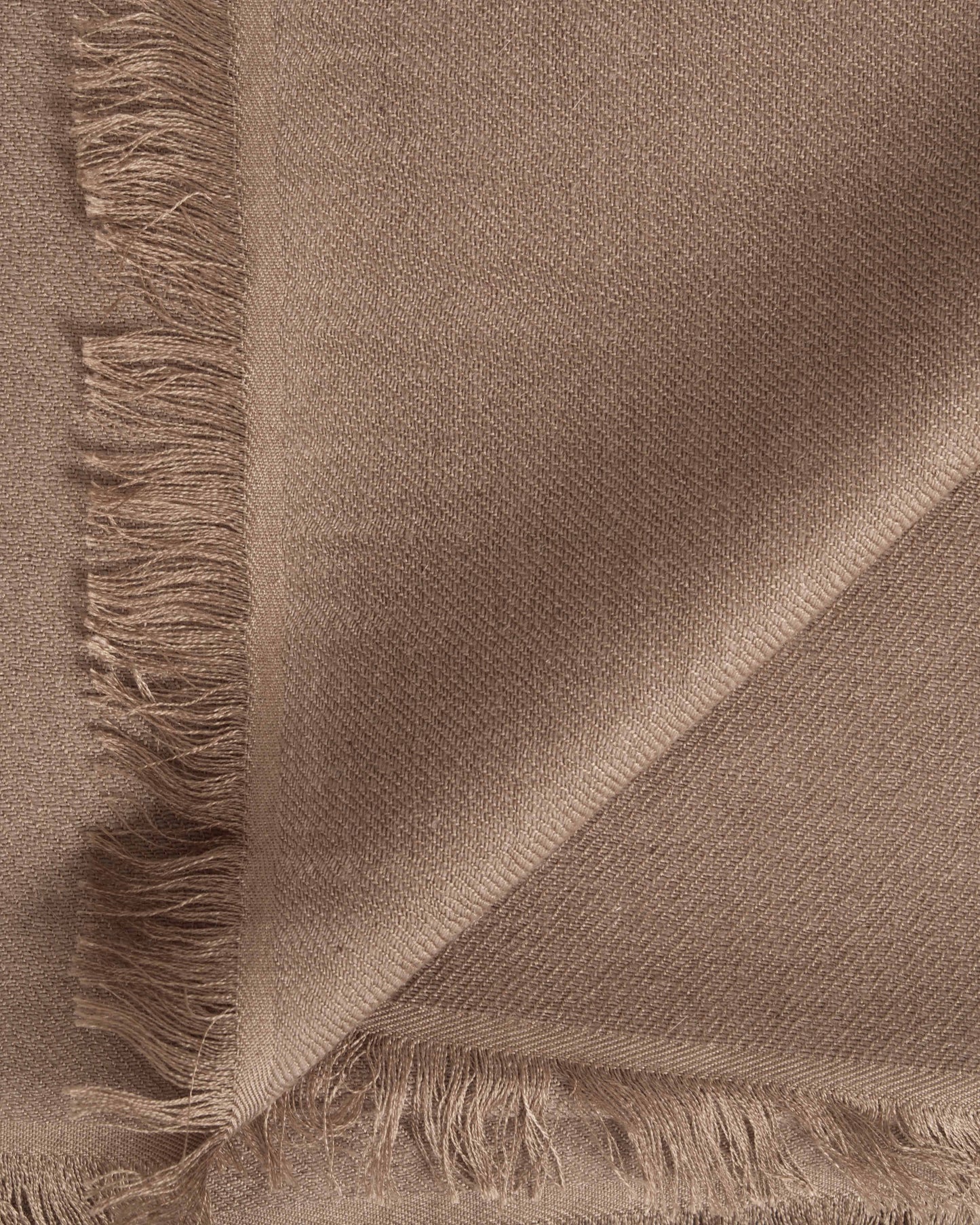 Pashmina Couture stucco