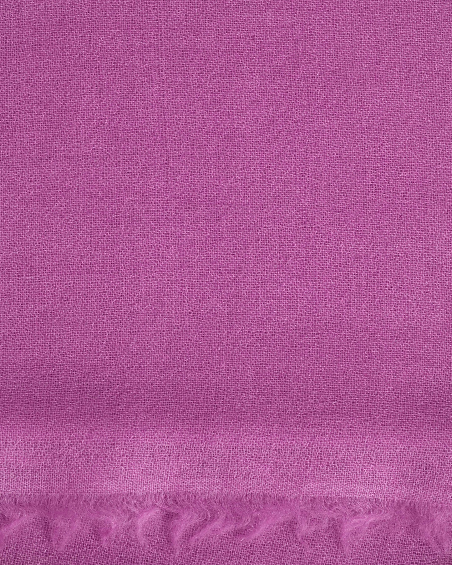 Summer Pashmina radiant orchid